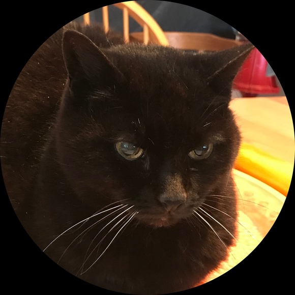 weasiecat
